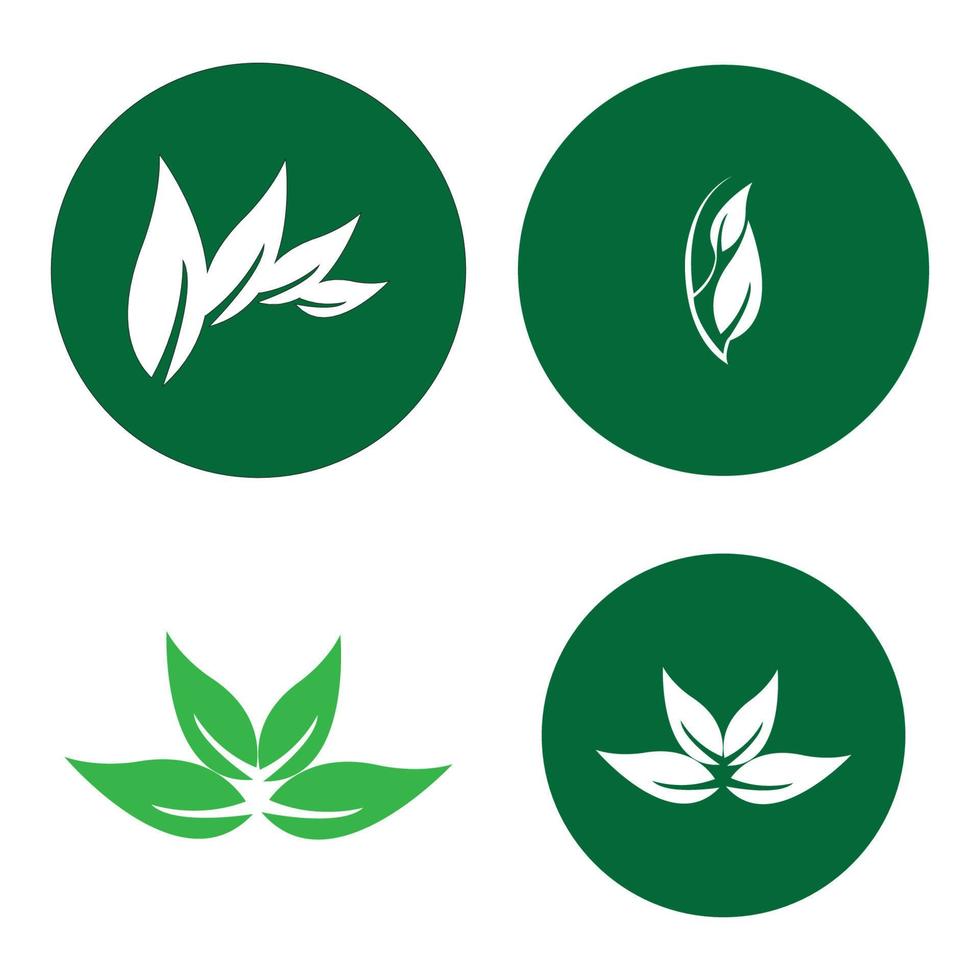 Eco Tree Leaf Logo Template vector