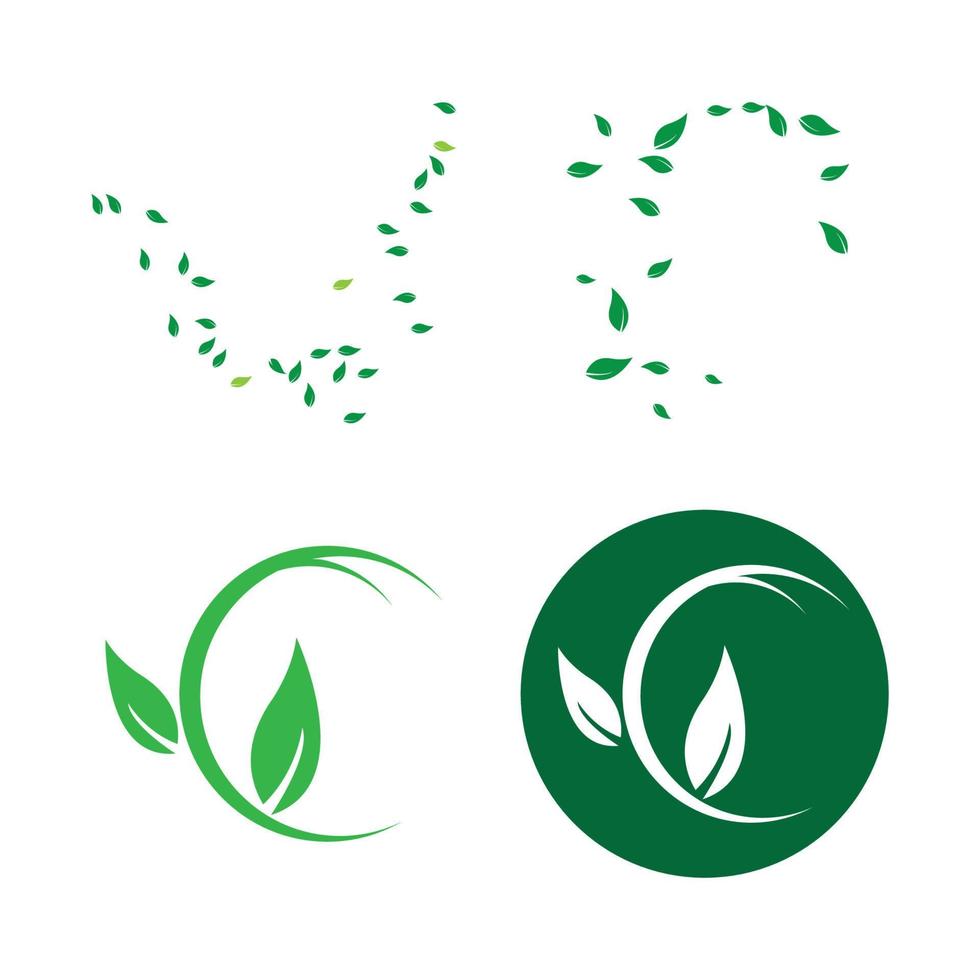 plantilla de logotipo de hoja de árbol ecológico vector