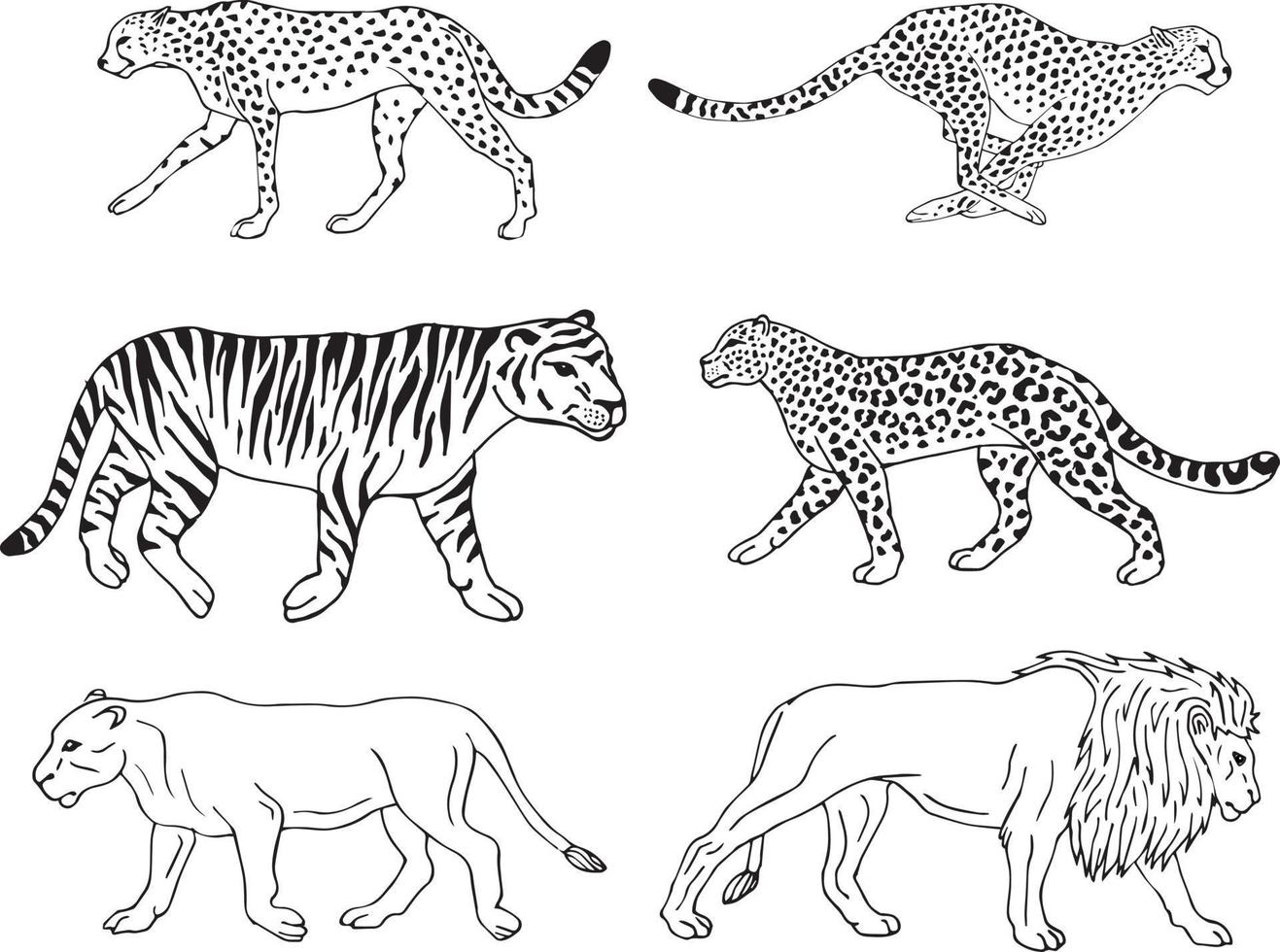 Vector set of wild big cats