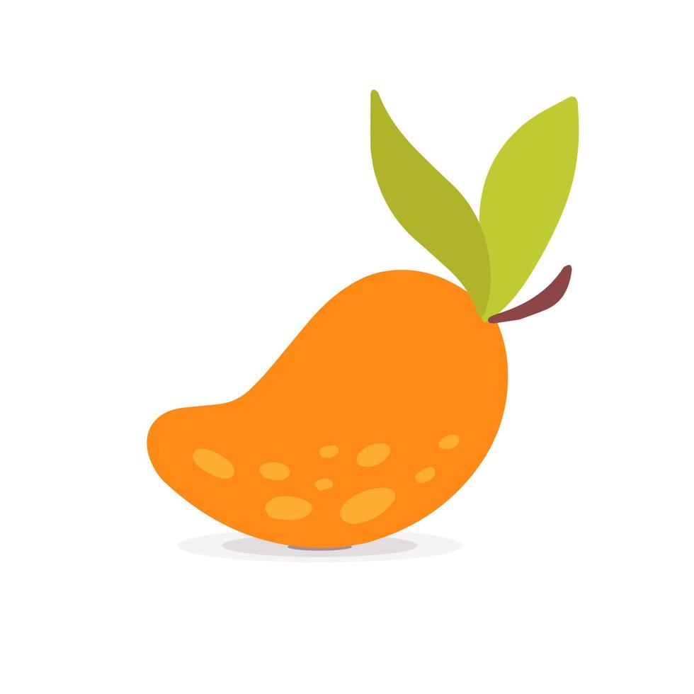 Jucy eco fresh orange mango fruit with green leaves vector art illustration