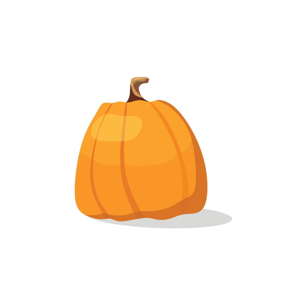 Vector illustration of a pumpkin. The concept of organic nutrition.