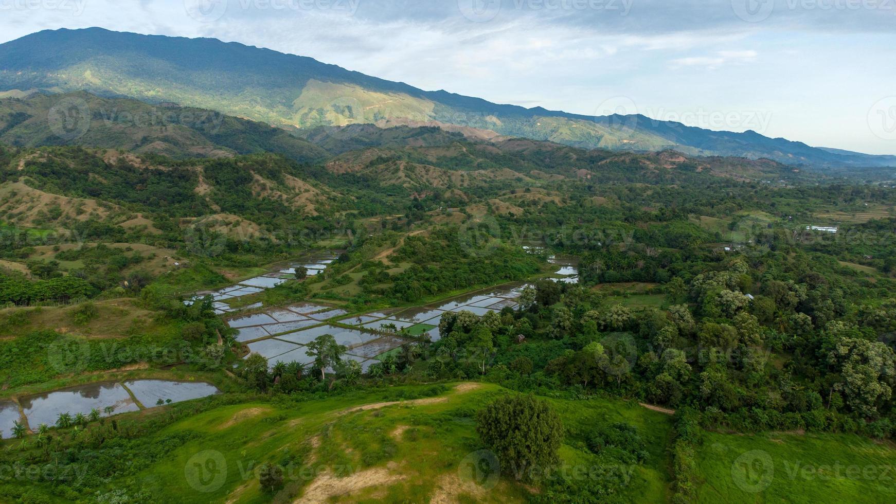 vista aérea de campos de arroz, colinas, plantaciones en un pueblo foto