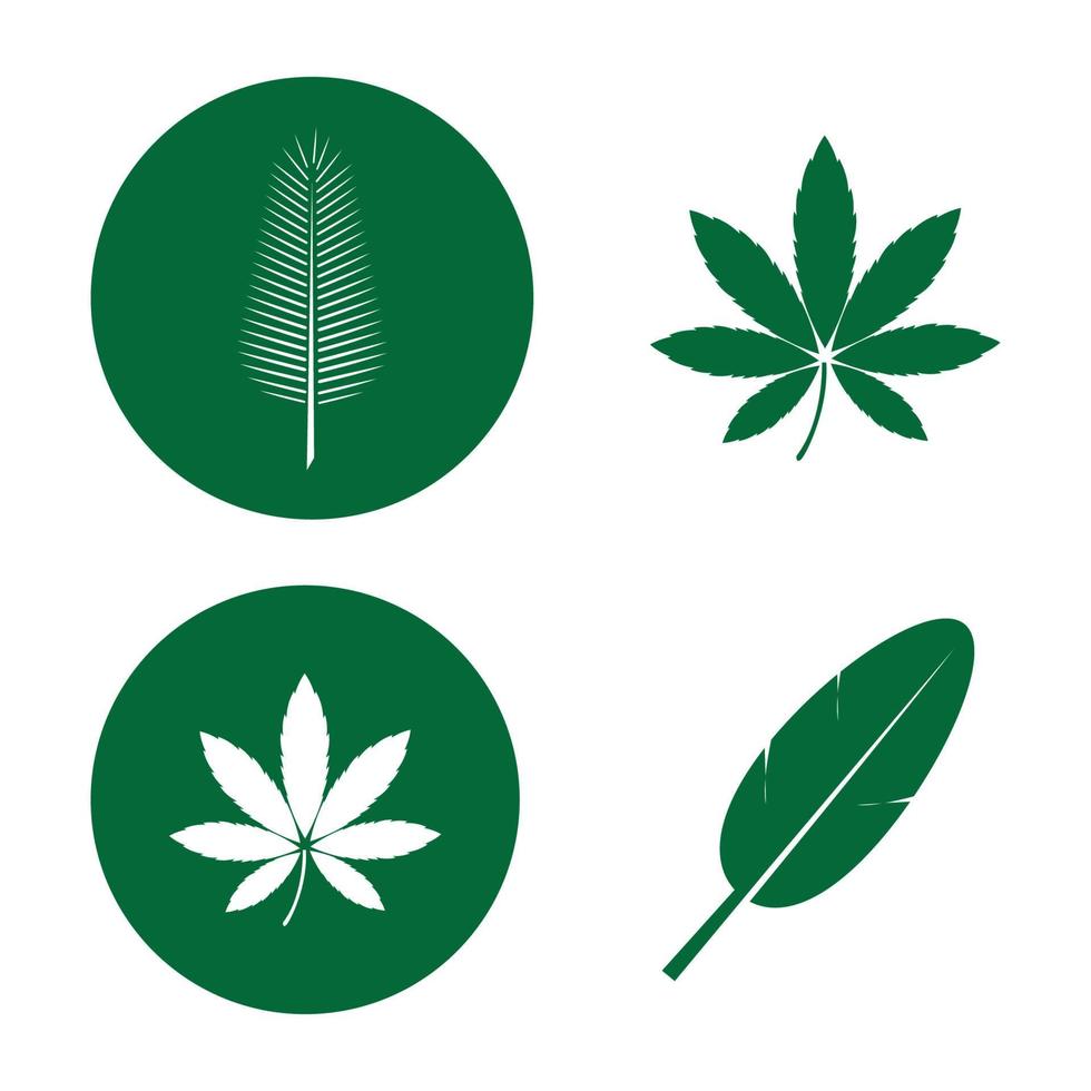 plantilla de logotipo de hoja de árbol ecológico vector