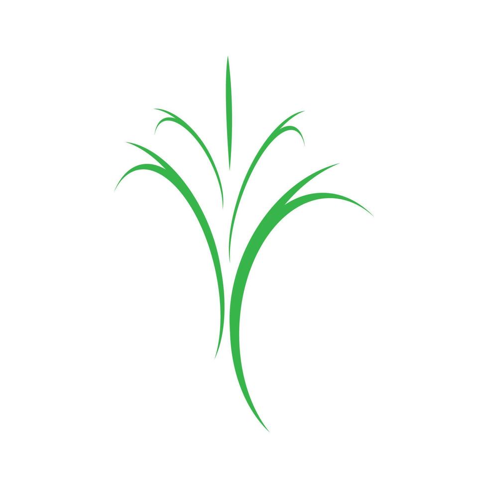 Eco Tree Leaf Logo Template vector