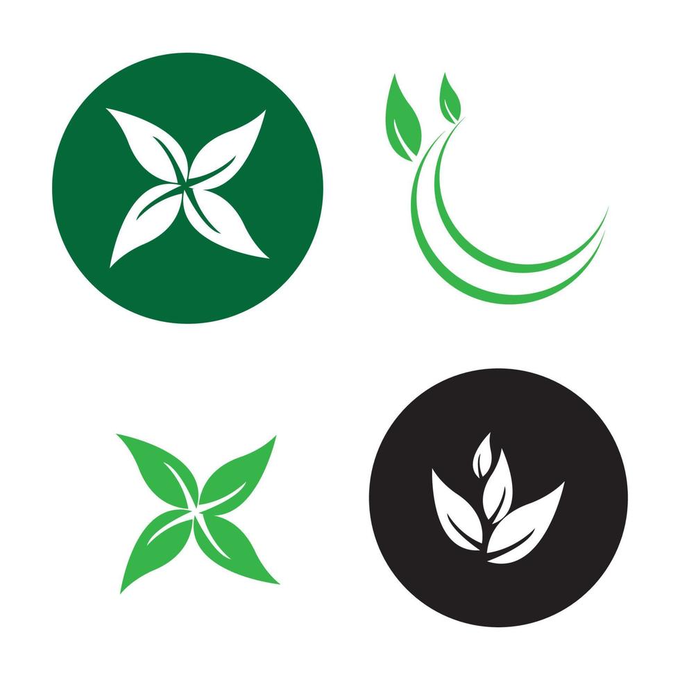 plantilla de logotipo de hoja de árbol ecológico vector