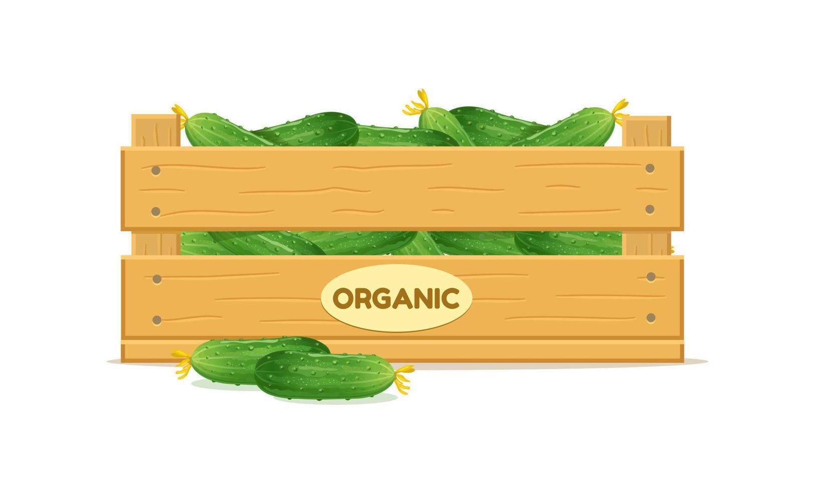 Wooden box with cucumbers. Vegetable box icon. Vector illustration isolated on white background.