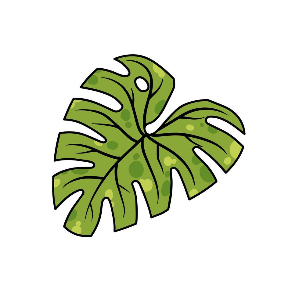 Monstera leaf. Geen houseplan, tropical plant for green print. Flat cartoon illustration isolated on white vector