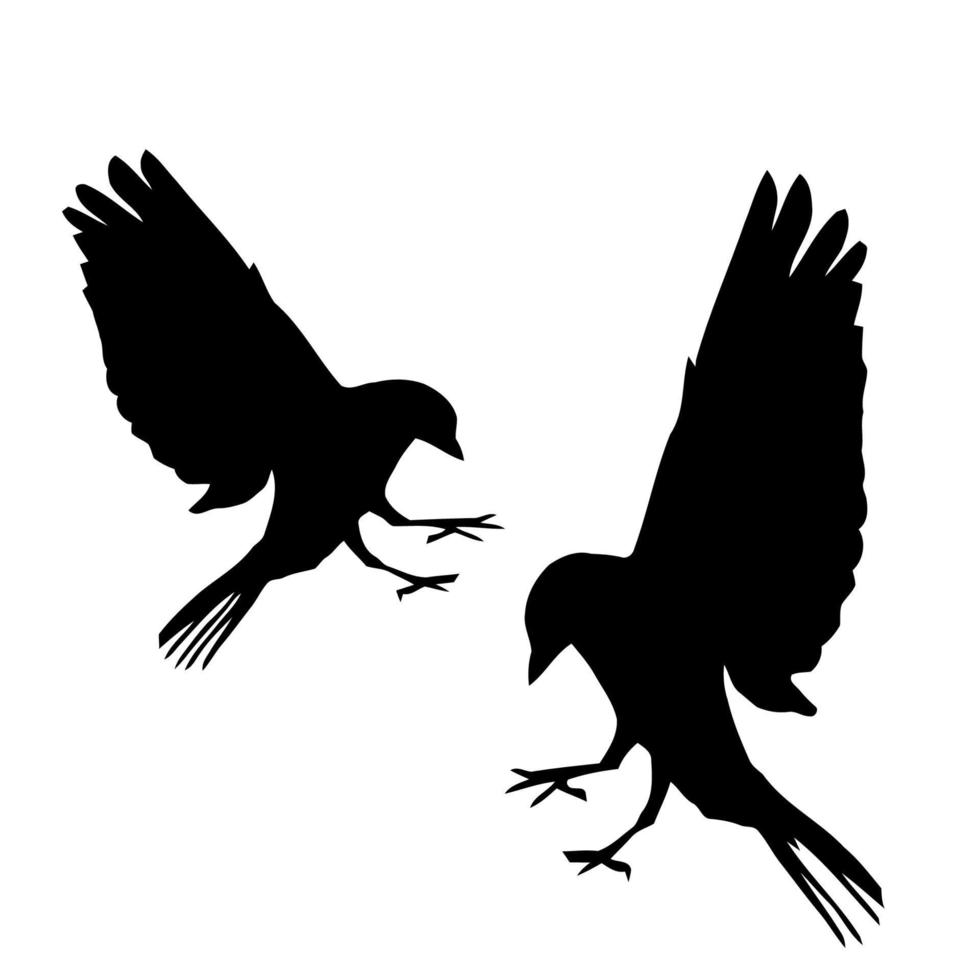 Dove silhouettes vector template. Flying bird detail illustration. Eps 10