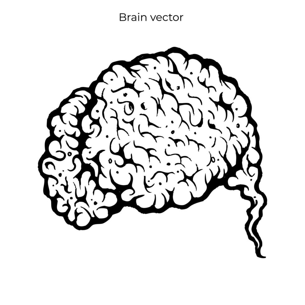 plantilla de ilustración del cerebro humano para ropa, afiche, pancarta, fondo. estilo de diseño de época. eps 10 vector