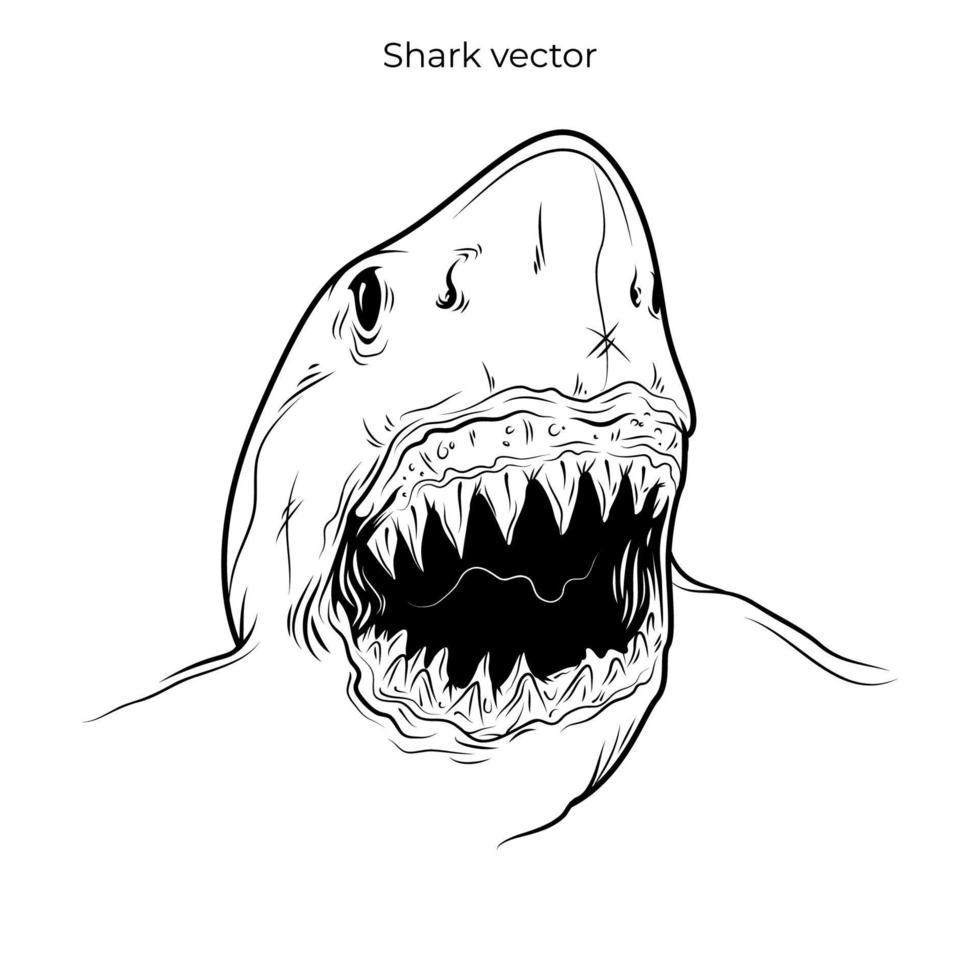 Head of shark illustration template for apparel, poster, skate board, shirt, banner, background. Vector eps 10