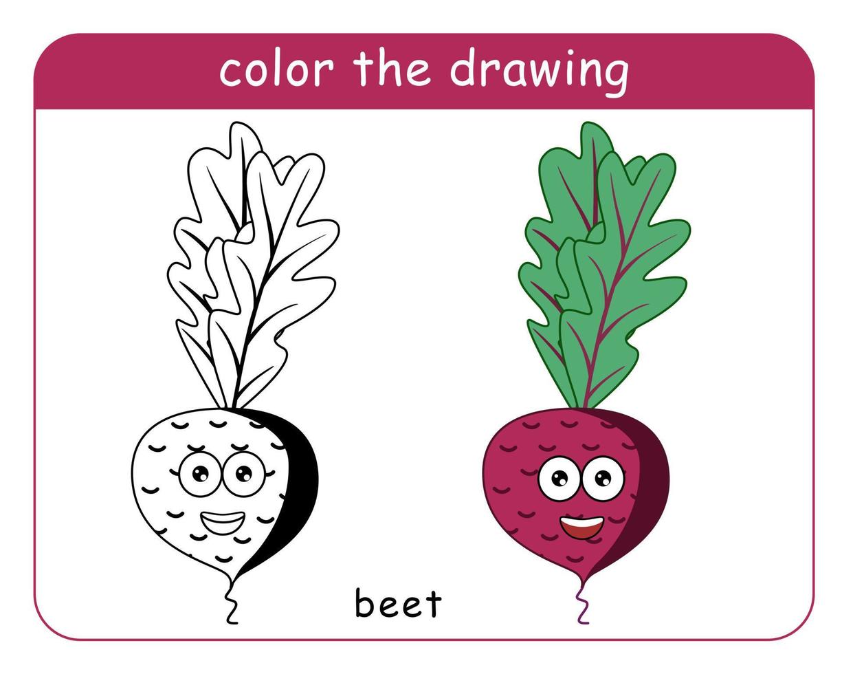 Coloring book for children. Beetroot character in color and black and white. vector