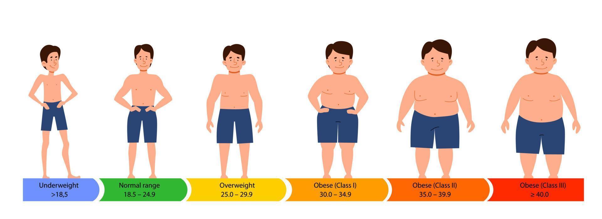 categorías con índice de masa corporal. siluetas masculinas de figura gruesa, normal y esbelta. vector