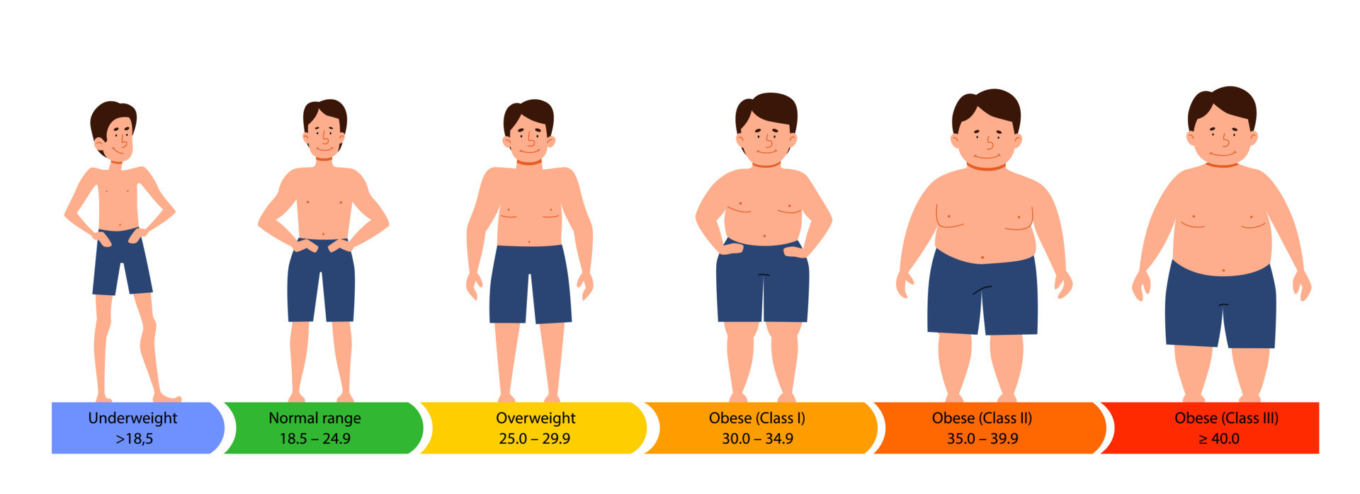 Categories with body mass index. male silhouettes with a thick, normal