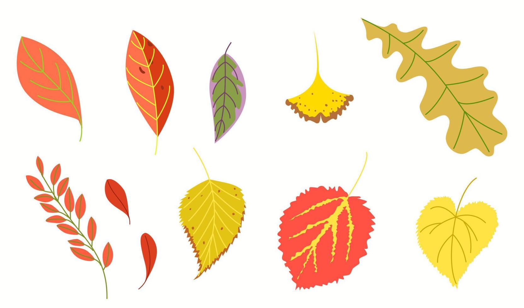 A large set of foliage. A group of autumn vector illustrations