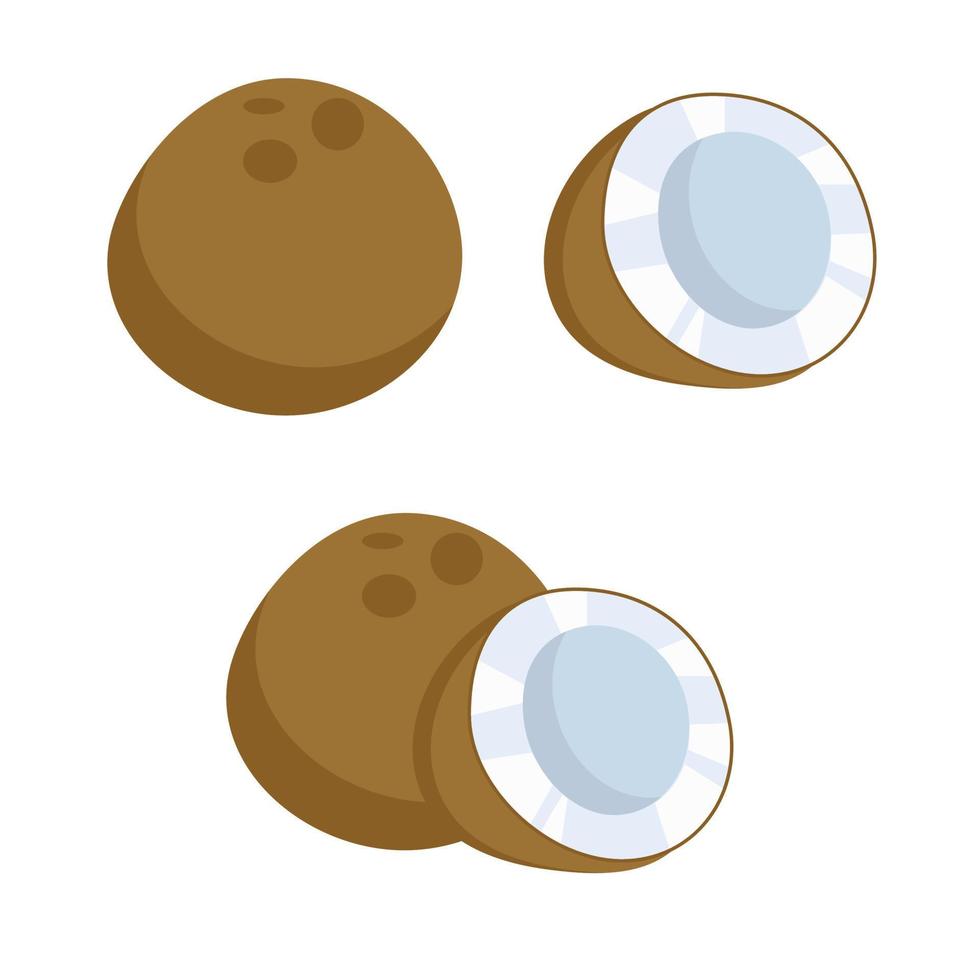 Set of different kinds of coconut, a slice vector