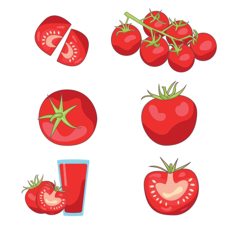 A set of bright different tomatoes, on a branch and a glass vector