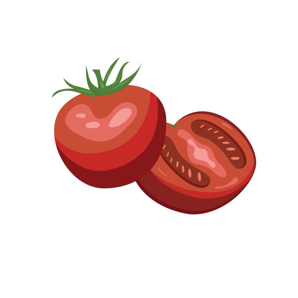 A pair of red tomatoes drawn and one half vector