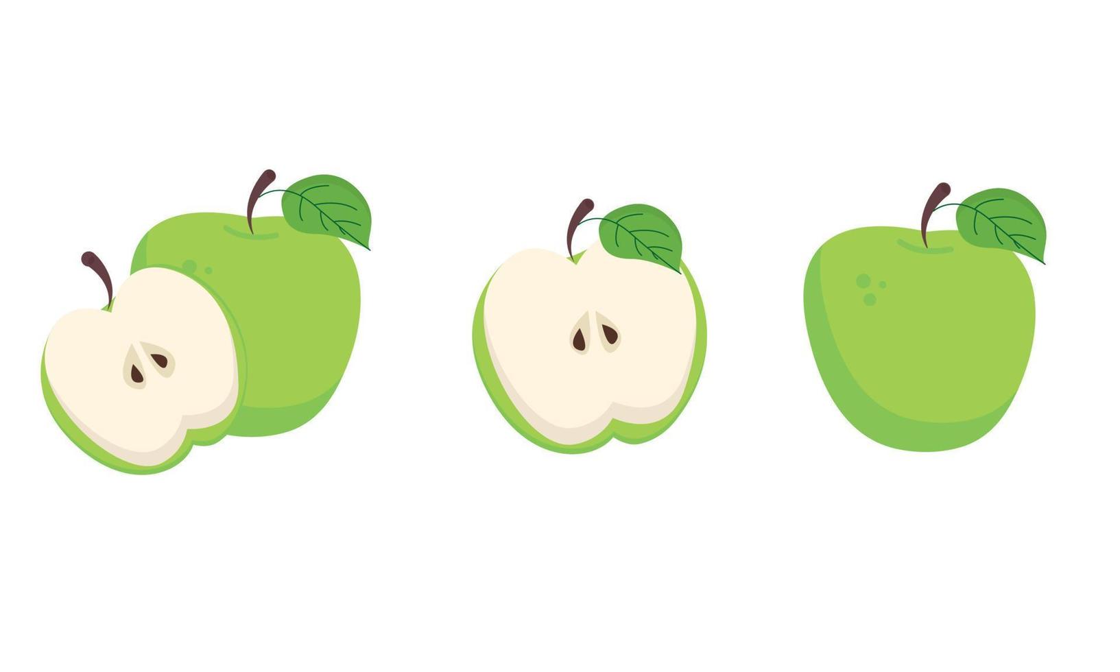 un conjunto de diferentes manzanas verdes, un corte y medio vector