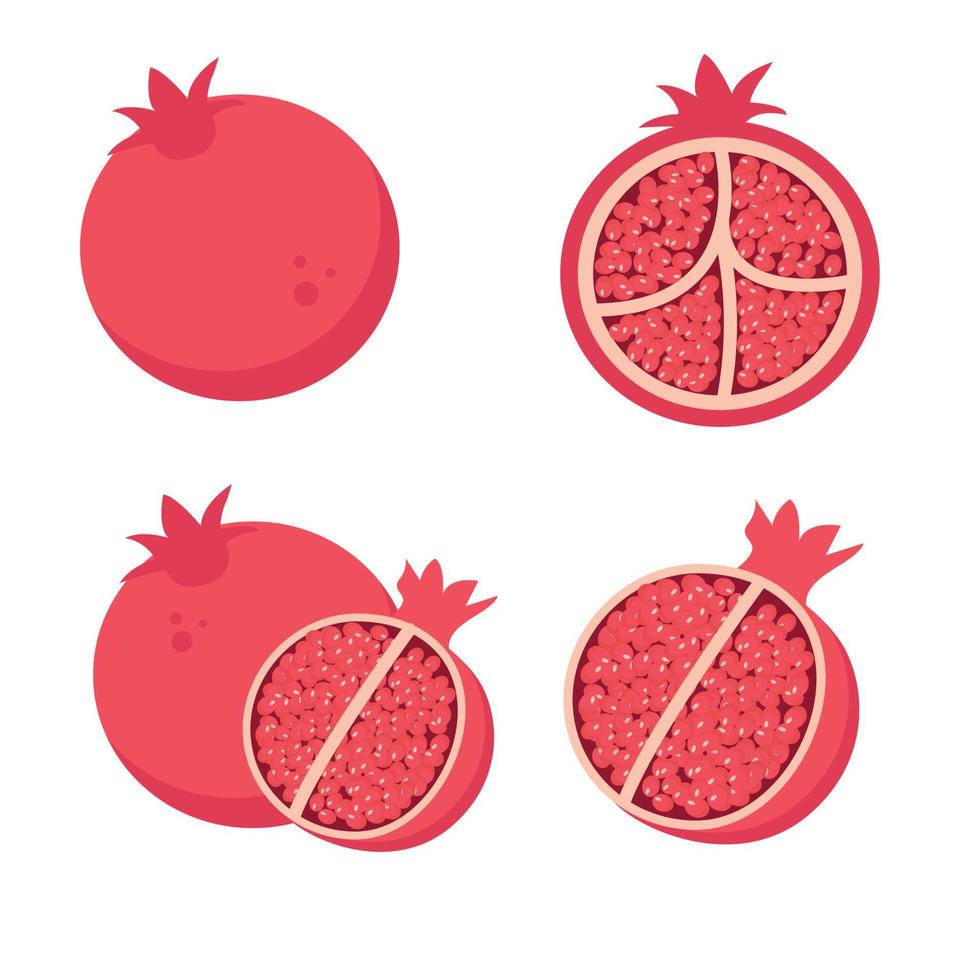 A set of different pomegranate fruits vector