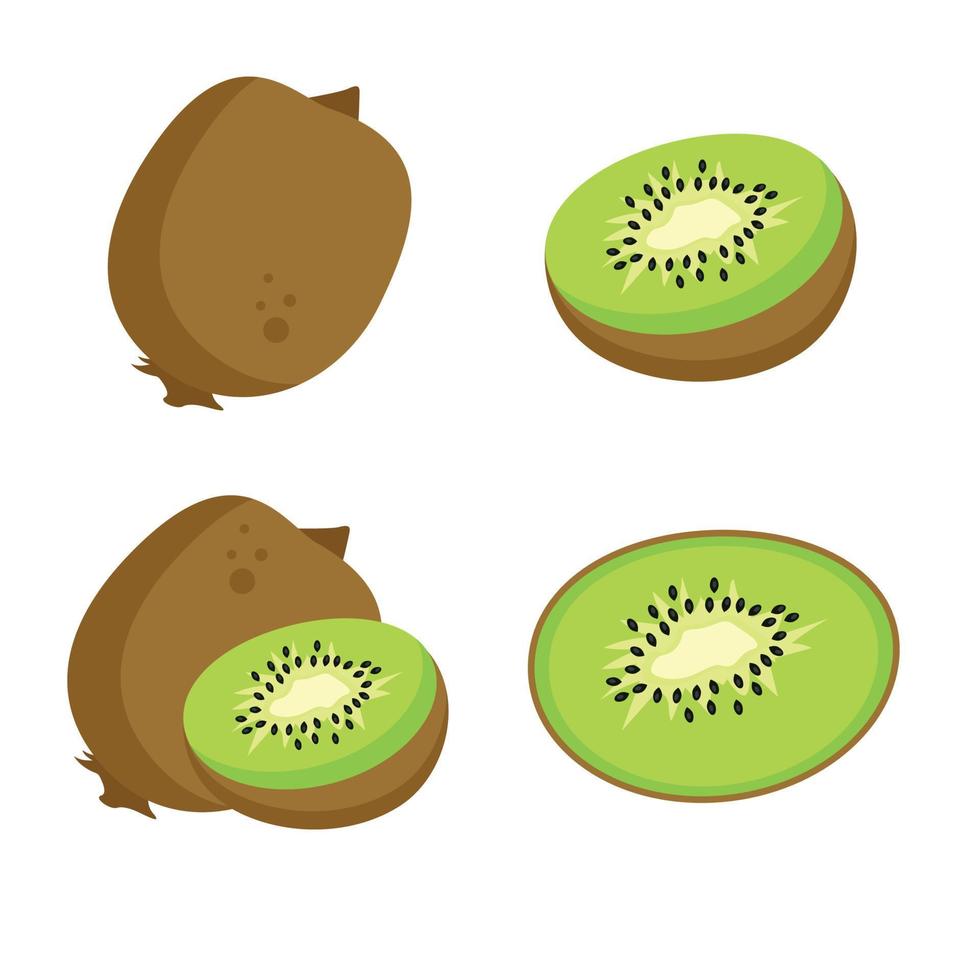 A set of different types of kiwi fruit vector