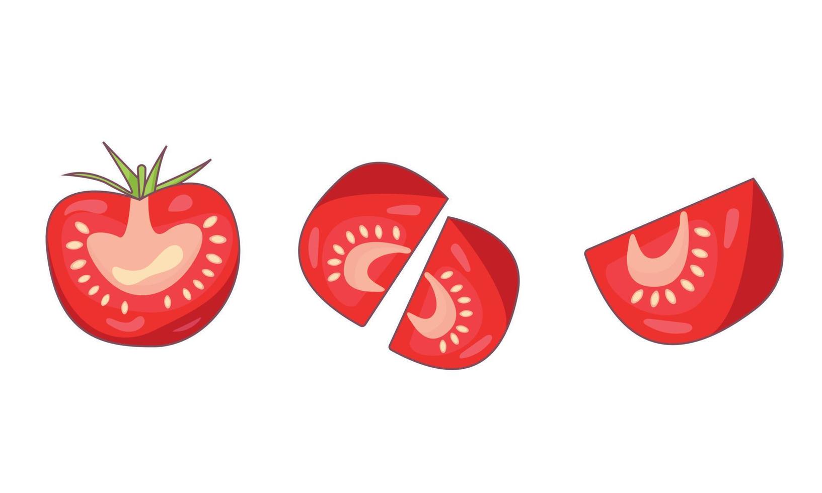 un conjunto de diferentes tomates de colores brillantes medio pintados vector