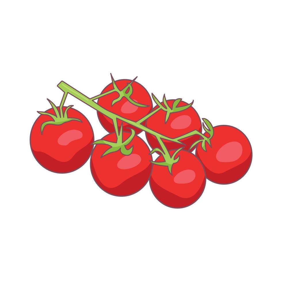 tomates cheri en una rama sobre un fondo blanco vector