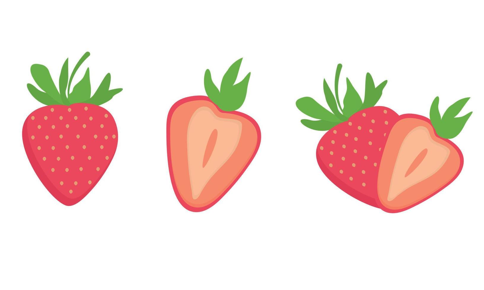 un conjunto de diferentes fresas, un corte y medio vector