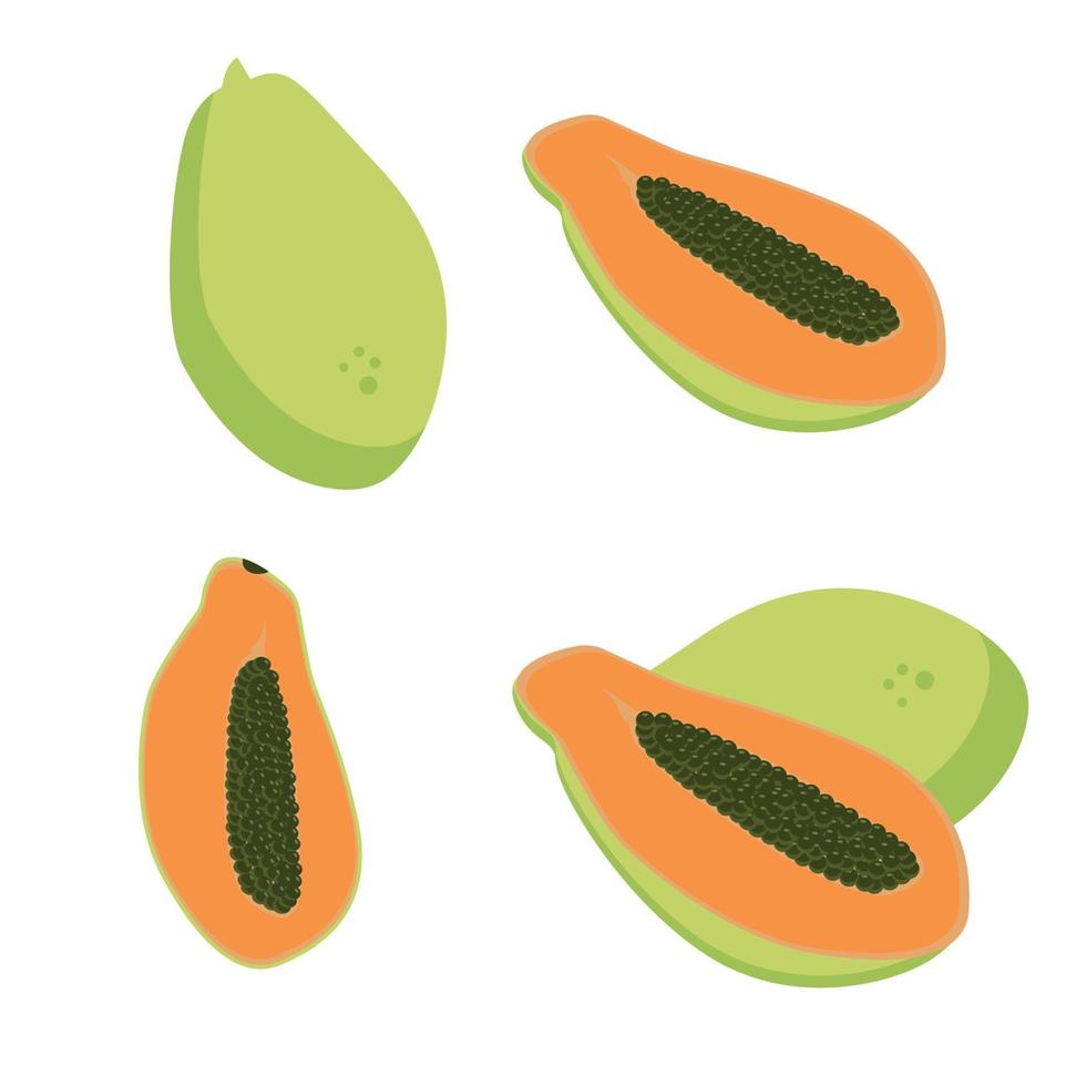 A set of different kinds of papaya fruit vector