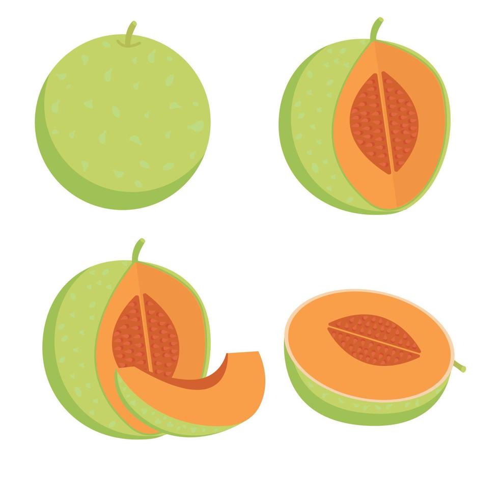 A set of different types of melon vector