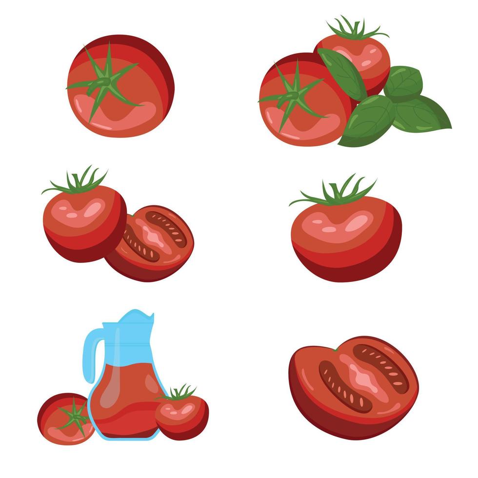 A set of drawn different tomatoes, half of them. vector