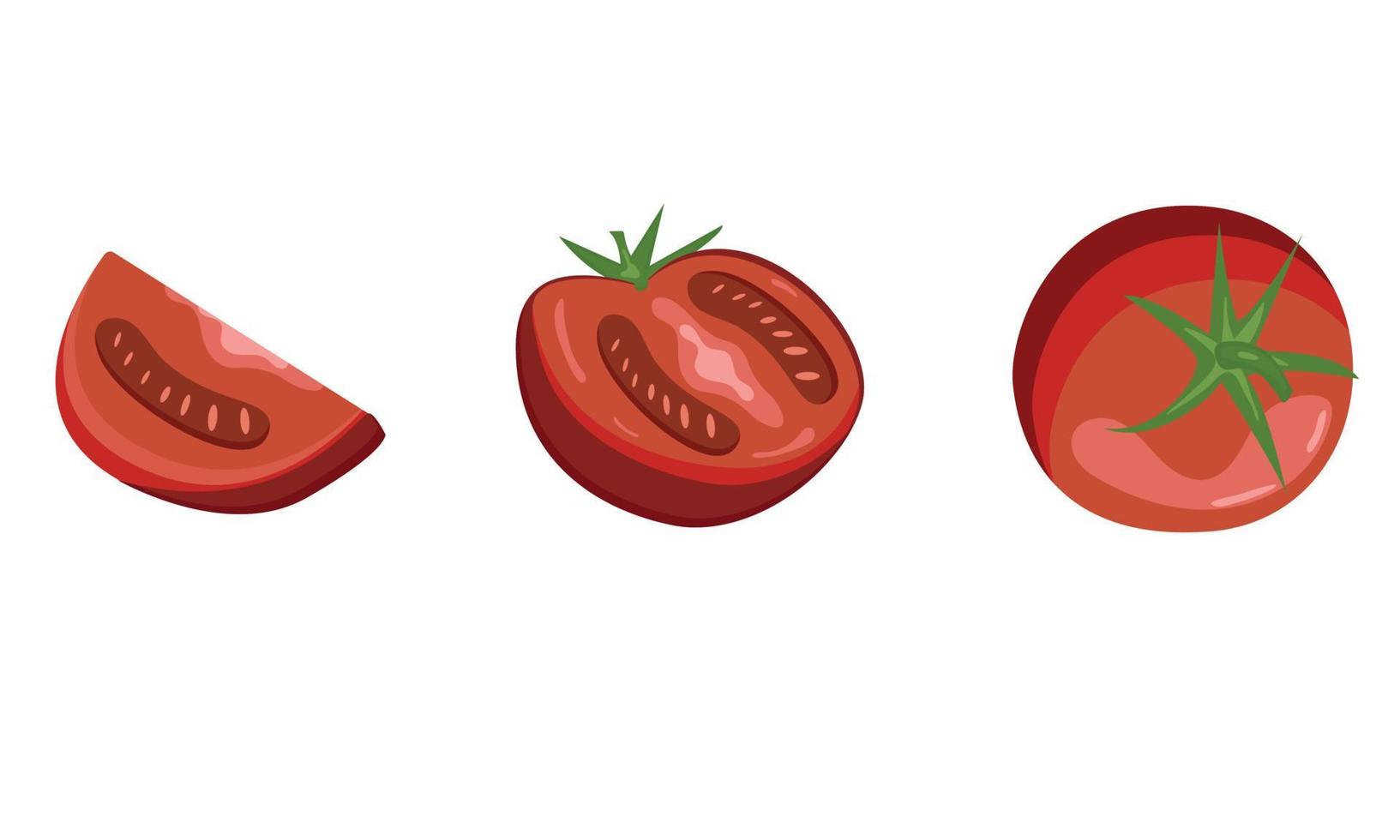 un conjunto de tomates rojos diferentes pintados, la mitad. vector