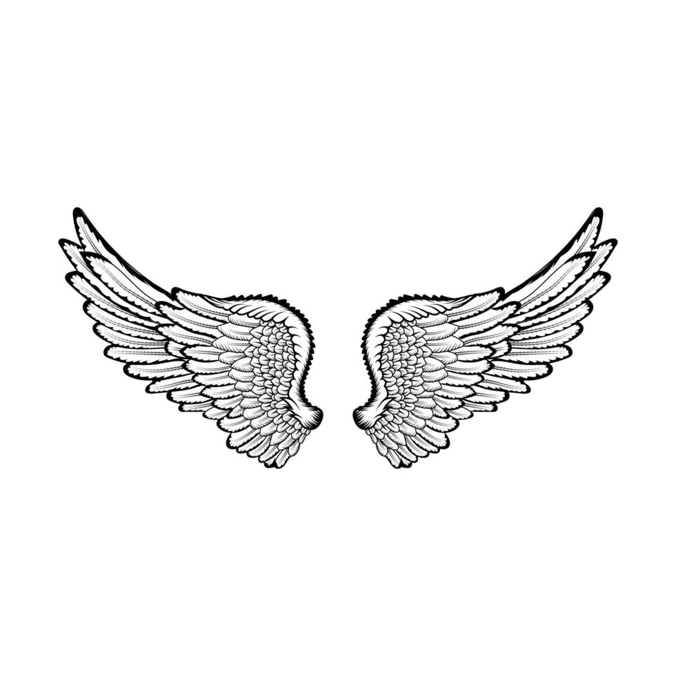 Wings drawing vector design