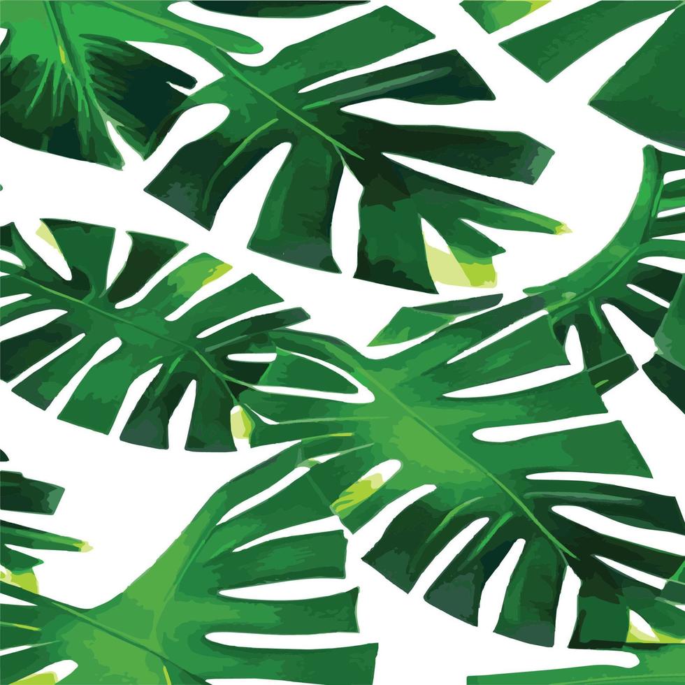 green monstera pattern white background. exotic pattern with tropical leaves. Vector illustration. monstera leaf pattern. Tropical palm leaves. Exotic design fabric, textile print, wrapping paper