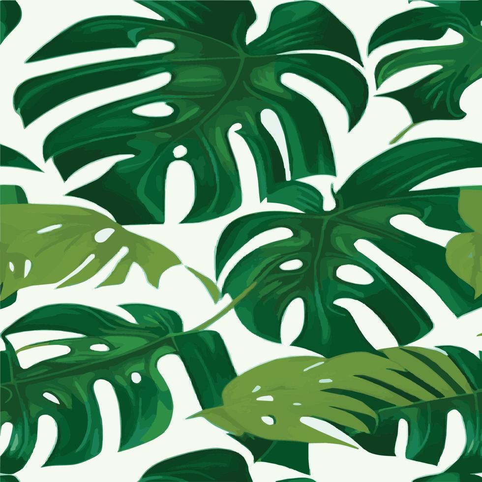 patrón de monstera verde fondo blanco. patrón exótico con hojas tropicales. ilustración vectorial patrón de hoja de monstera. hojas de palmeras tropicales. tela de diseño exótico, estampado textil, papel de regalo vector