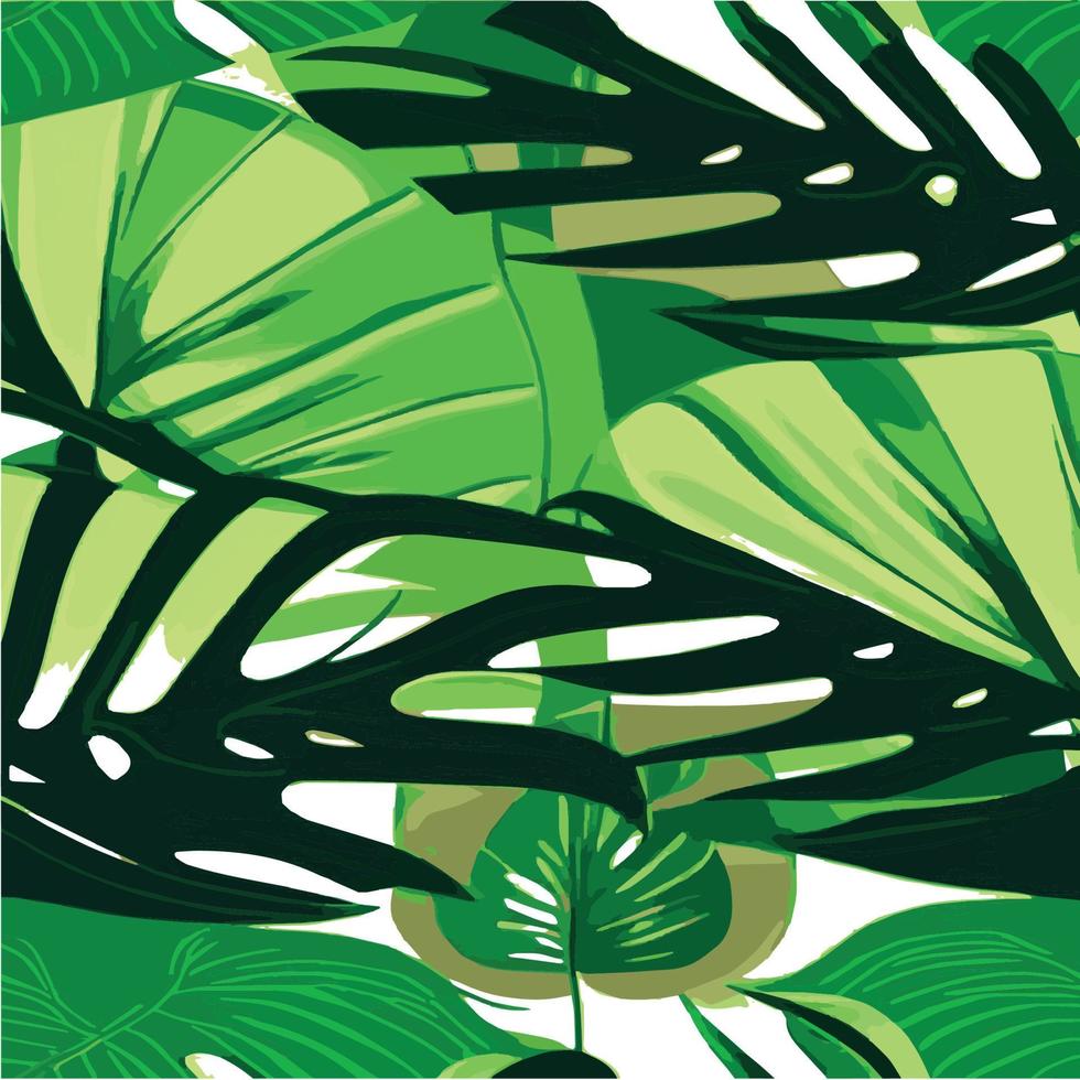 patrón de monstera verde fondo blanco. patrón exótico con hojas tropicales. ilustración vectorial patrón de hoja de monstera. hojas de palmeras tropicales. tela de diseño exótico, estampado textil, papel de regalo vector