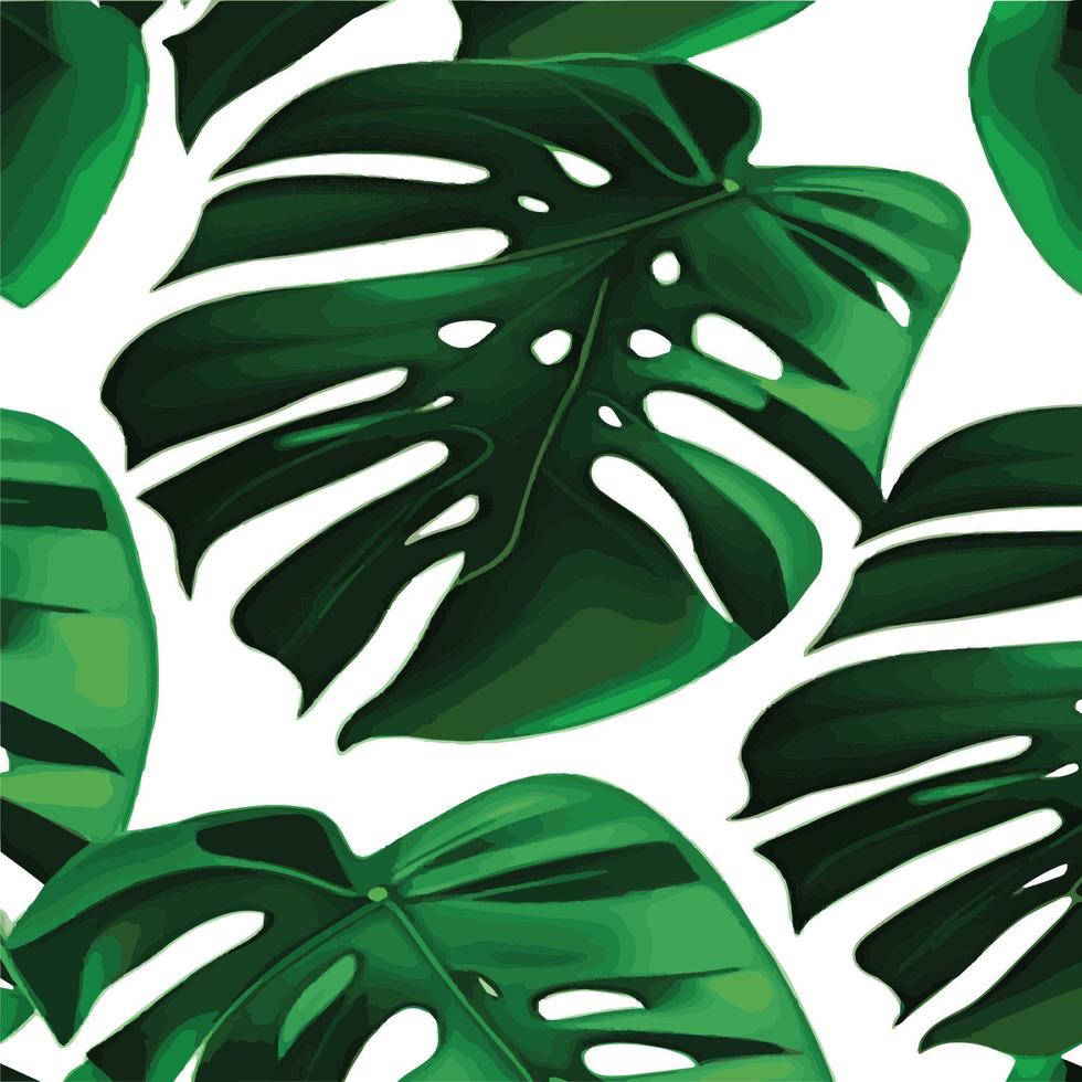 patrón de monstera verde fondo blanco. patrón exótico con hojas tropicales. ilustración vectorial patrón de hoja de monstera. hojas de palmeras tropicales. tela de diseño exótico, estampado textil, papel de regalo vector