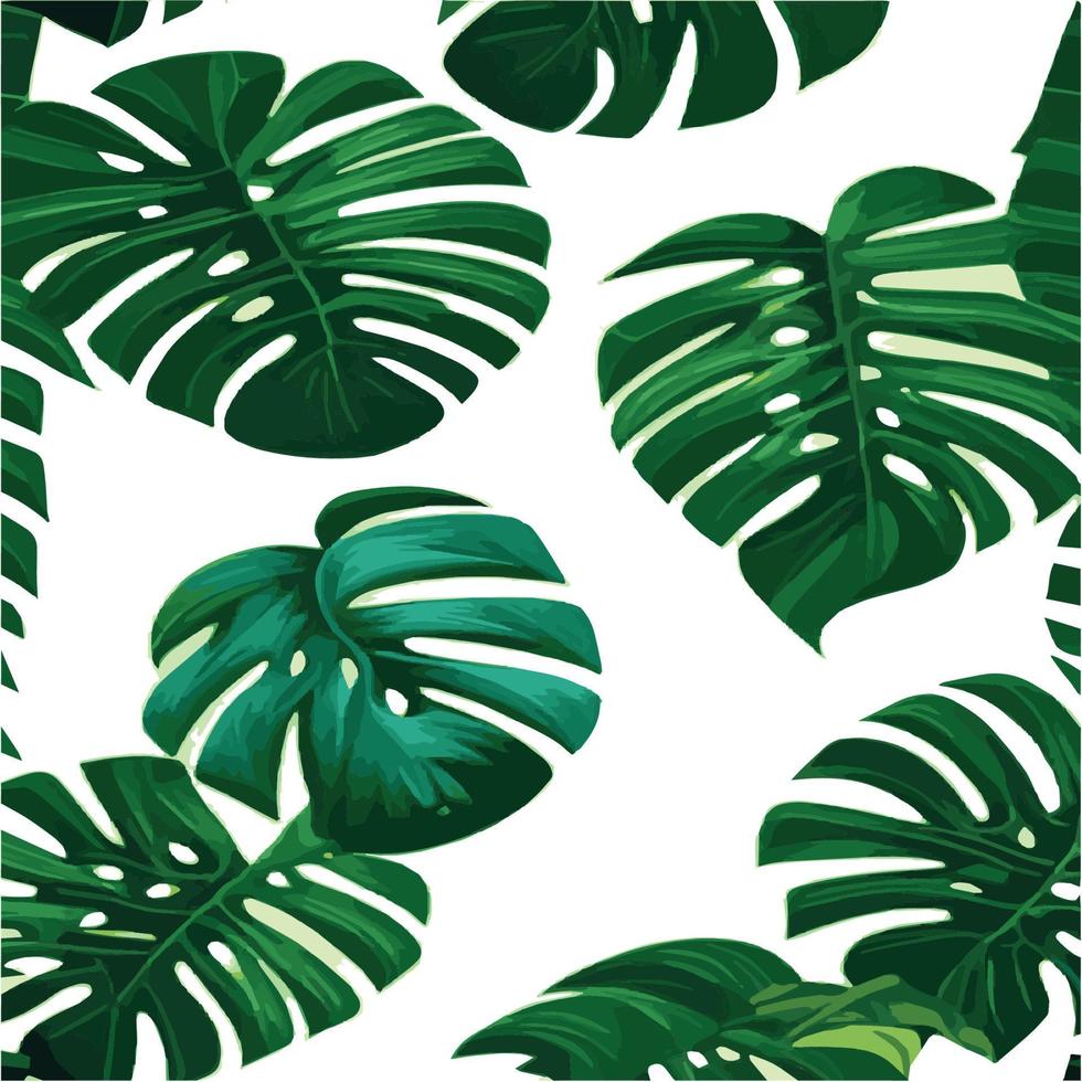 patrón de monstera verde fondo blanco. patrón exótico con hojas tropicales. ilustración vectorial patrón de hoja de monstera. hojas de palmeras tropicales. tela de diseño exótico, estampado textil, papel de regalo vector