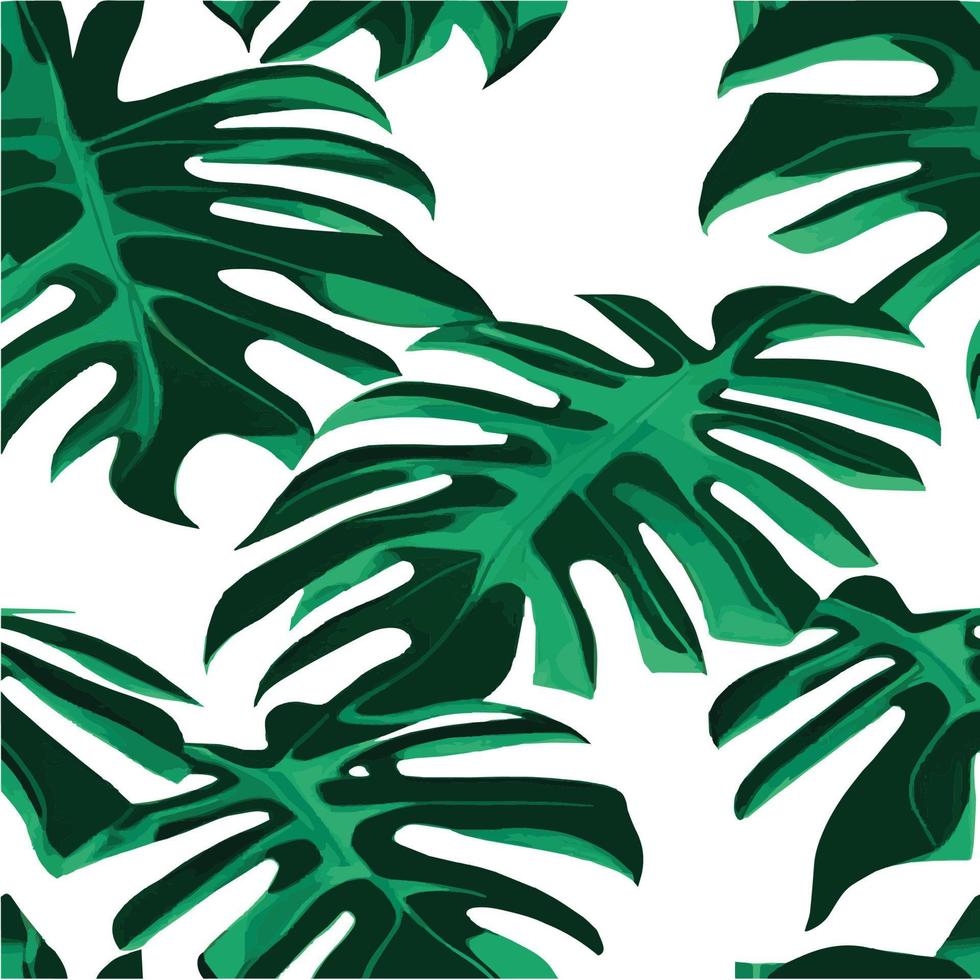 patrón de monstera verde fondo blanco. patrón exótico con hojas tropicales. ilustración vectorial patrón de hoja de monstera. hojas de palmeras tropicales. tela de diseño exótico, estampado textil, papel de regalo vector