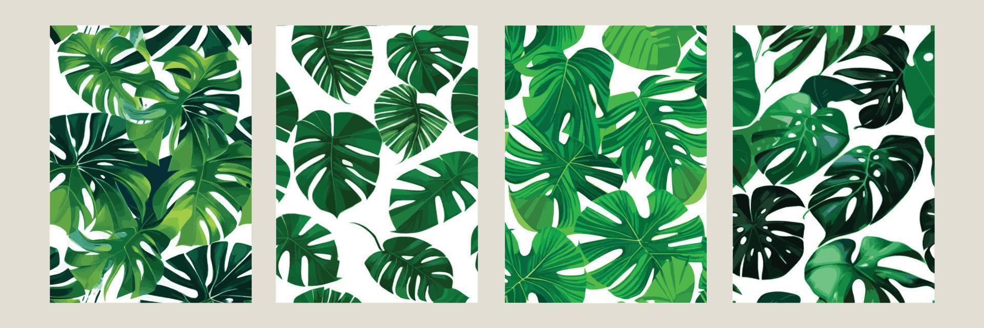 monstera verde como un patrón sobre un fondo blanco. patrón exótico con hojas tropicales. ilustración vectorial conjunto de carteles cuadrados vector