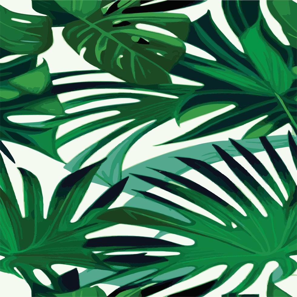 green monstera pattern white background. exotic pattern with tropical leaves. Vector illustration. monstera leaf pattern. Tropical palm leaves. Exotic design fabric, textile print, wrapping paper