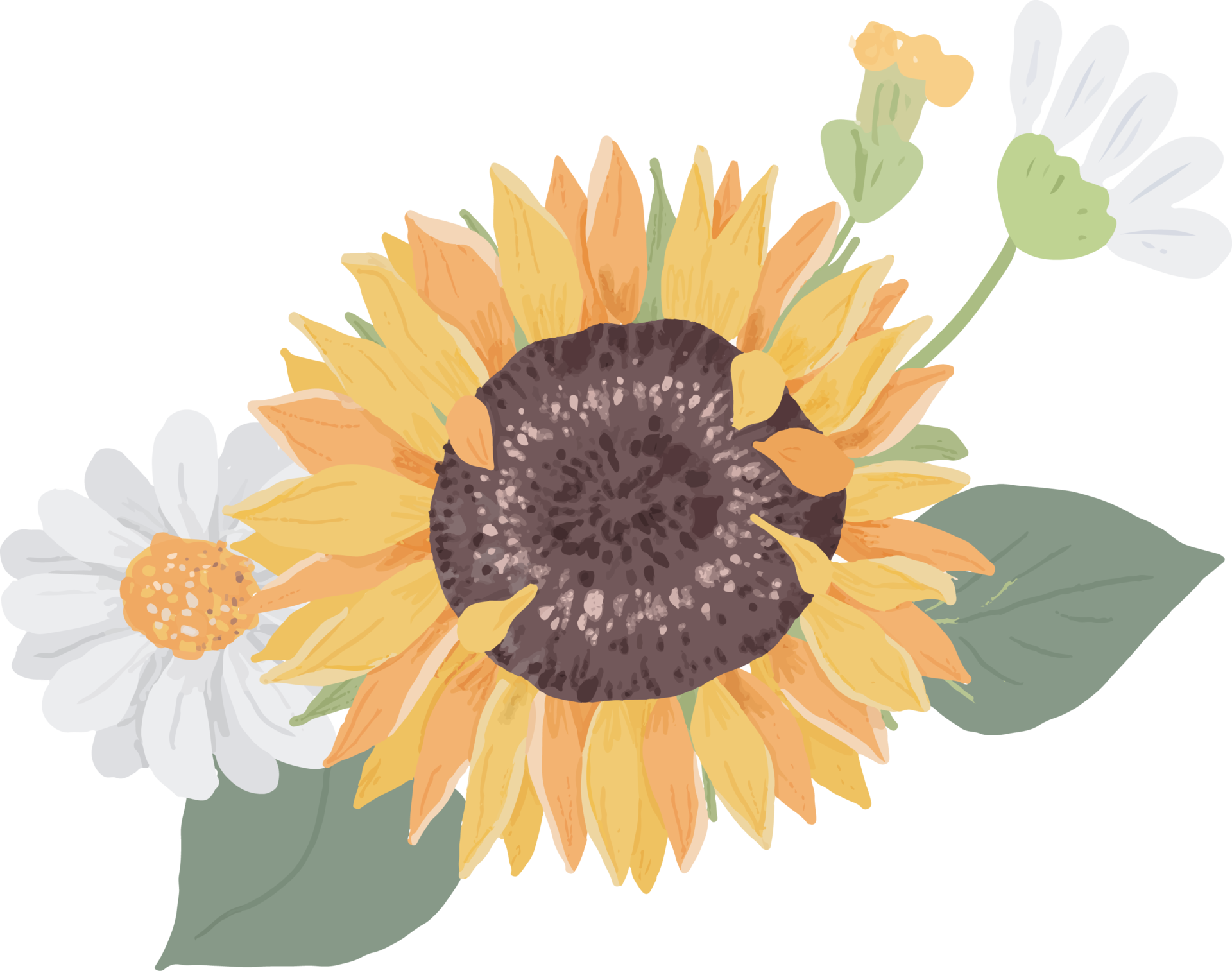 Free watercolor hand draw cute yellow sunflower and white daisy flower