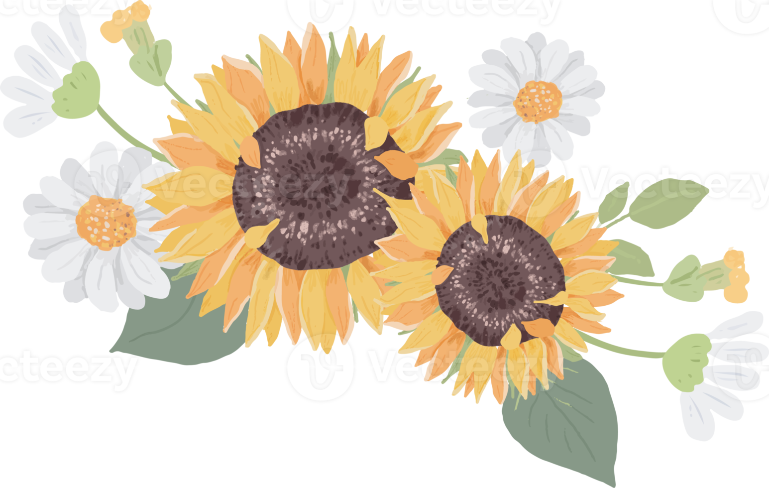 aquarellhand zeichnen süße gelbe sonnenblume und weißen gänseblümchenblumenstrauß png