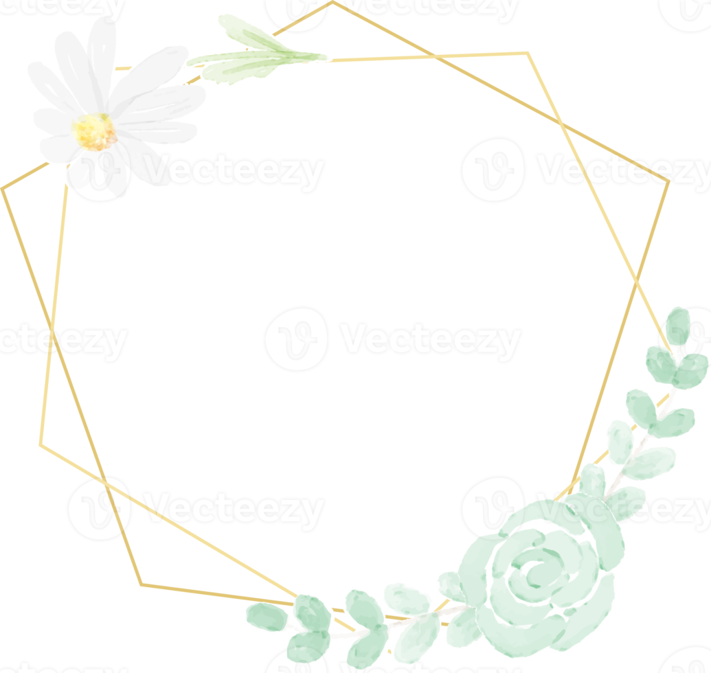 watercolor white daisy golden frame png