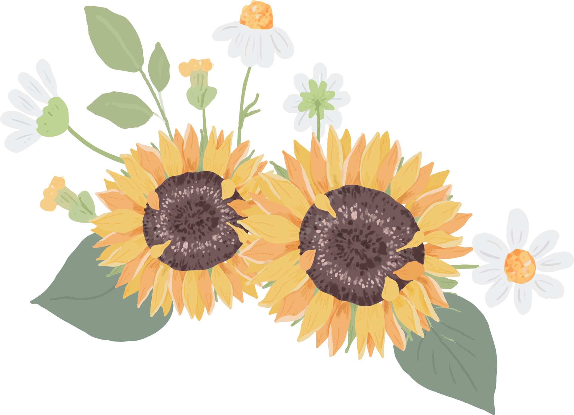 Free watercolor hand draw cute yellow sunflower and white daisy flower