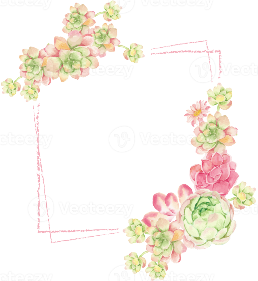 watercolor cactus and succulent square banner or invitation card background png