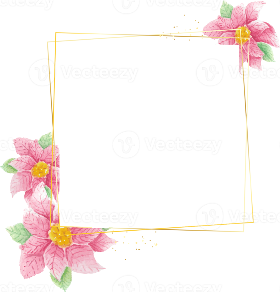 waterverf Kerstmis kerstster bloem met gouden kader png