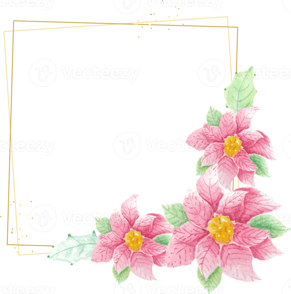 watercolor christmas poinsettia flower with golden frame png