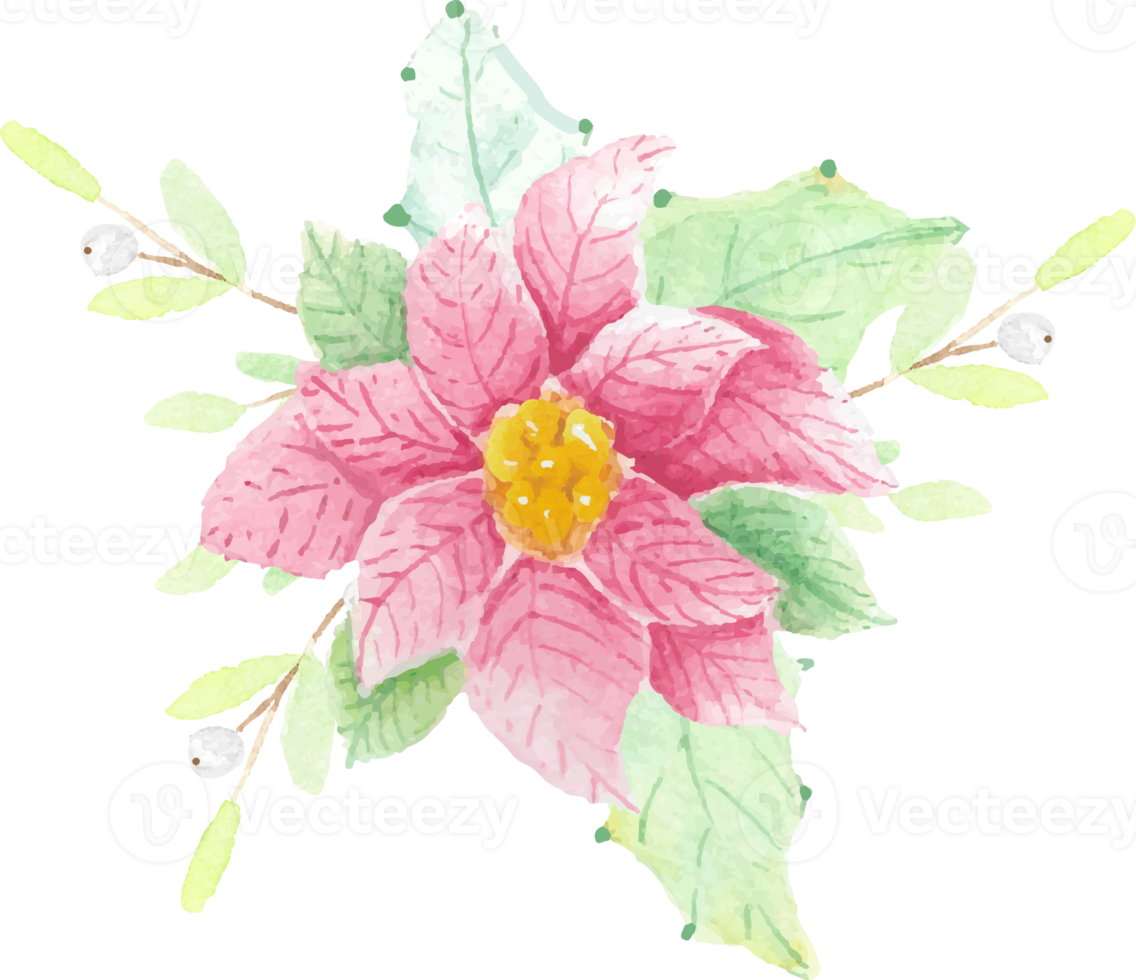 watercolor Christmas poinsettia flower bouquet png