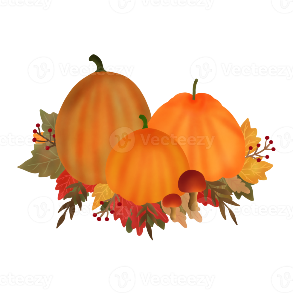 Watercolor pumpkin composition. Pumpkin with leaves isolated on white background. Design for Thanksgiving day,Halloween,greeting cards,poster and etc. png