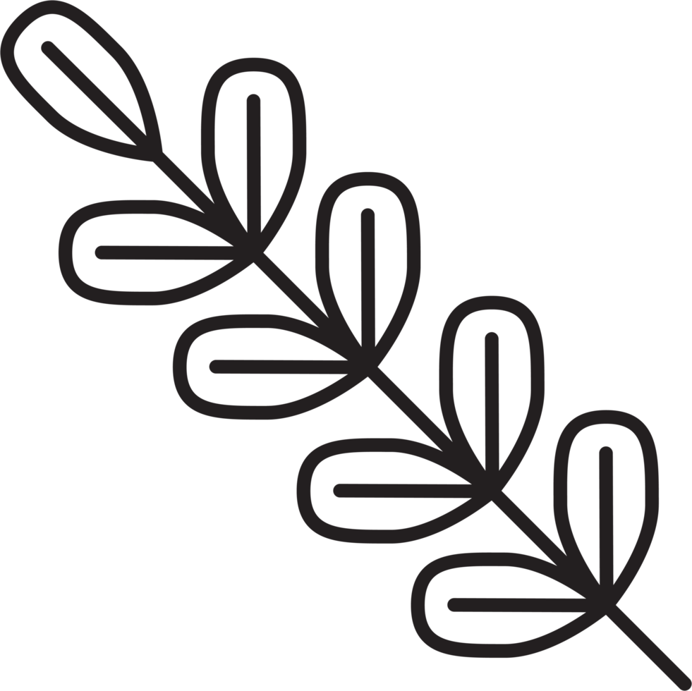 eenvoud bloemen blad tekening png